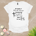 Perfect lamb T-shirt